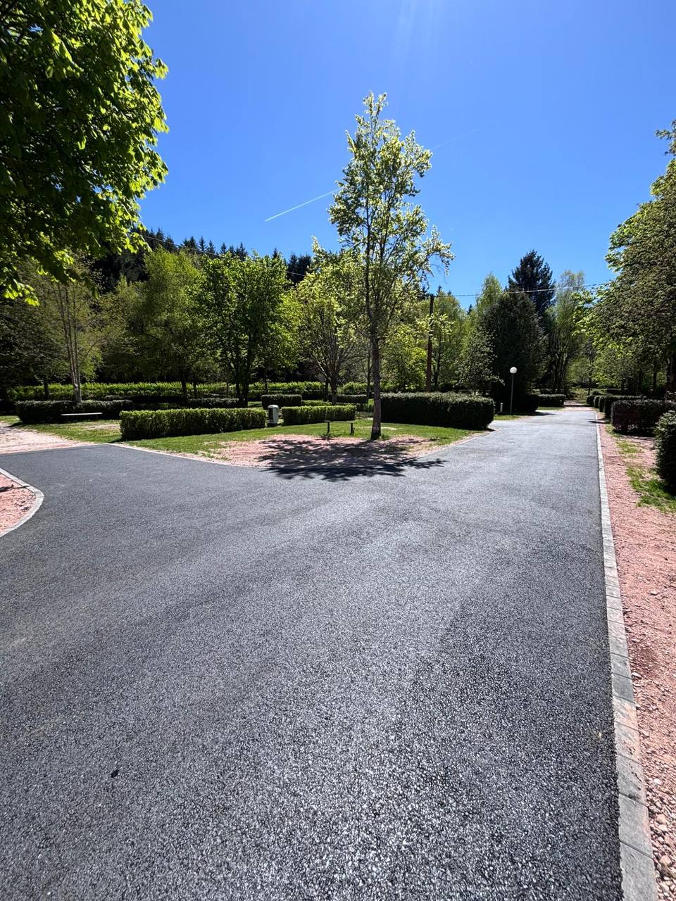 Allée parc arboré